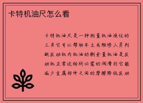 卡特机油尺怎么看